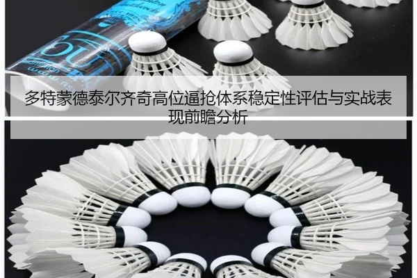 多特蒙德泰尔齐奇高位逼抢体系稳定性评估与实战表现前瞻分析