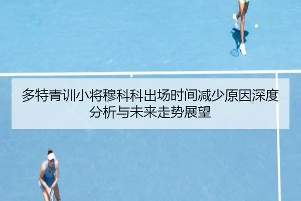 多特青训小将穆科科出场时间减少原因深度分析与未来走势展望