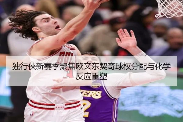 独行侠新赛季聚焦欧文东契奇球权分配与化学反应重塑